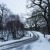 The snow continues | DSC_2954.jpg